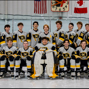 Team Page: Club Ice Hockey (D2)